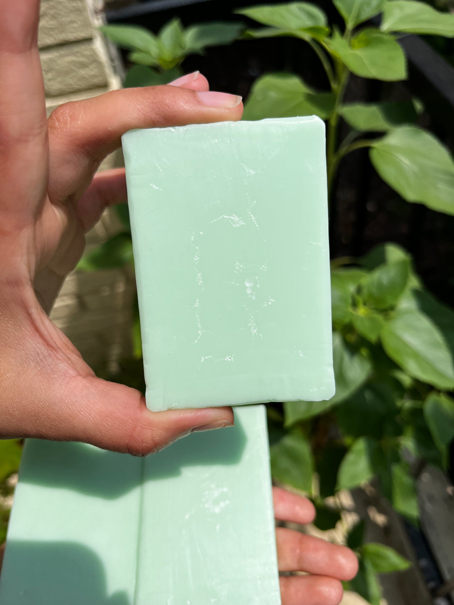 Cactus Blossom Soap