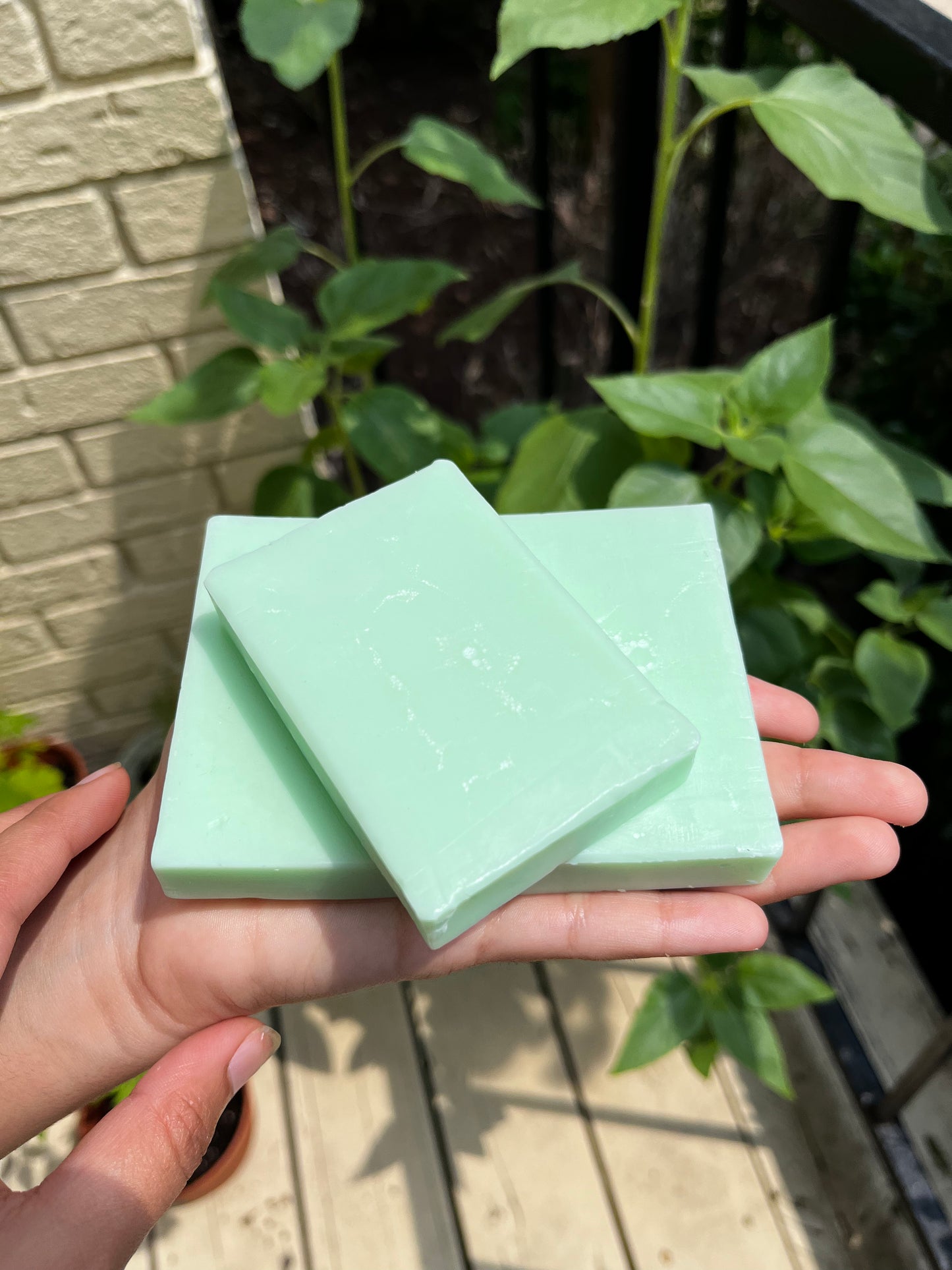 Cactus Blossom Soap